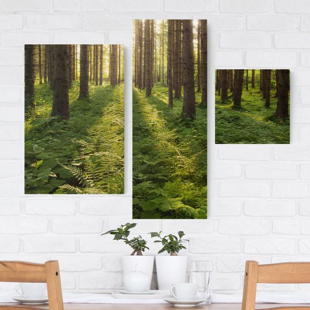 Wanddeko Küche Sonnenstrahlen in grünem Wald