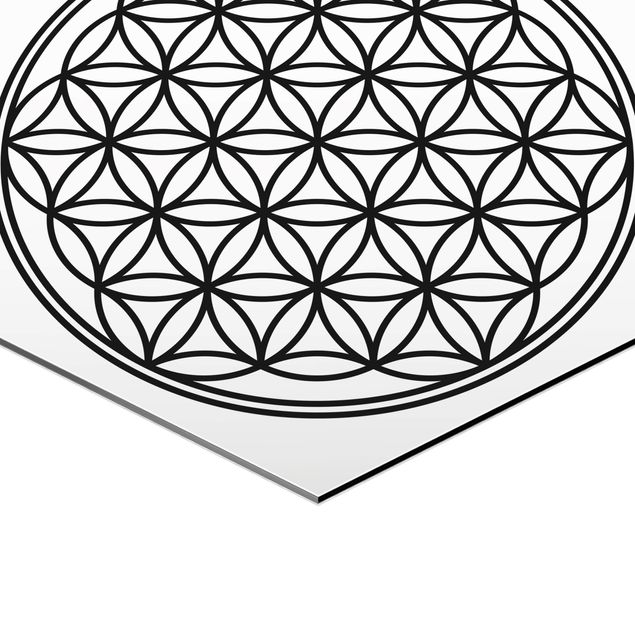Bilder Hexagon Blume des Lebens