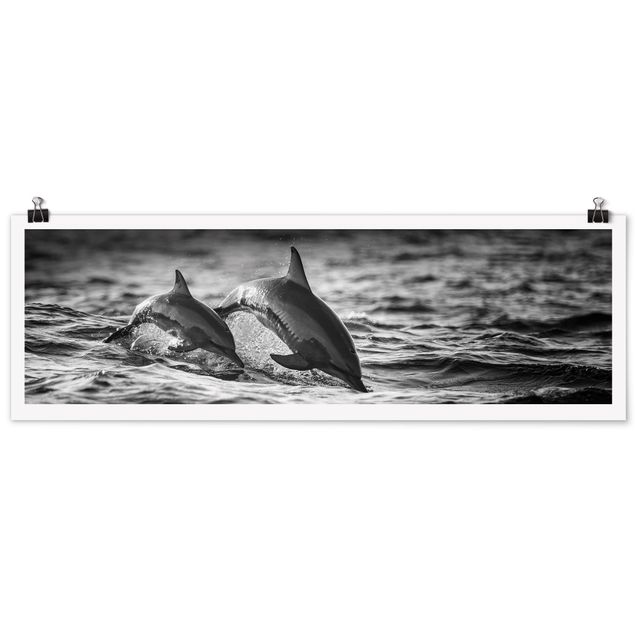 Tiere Poster Zwei springende Delfine