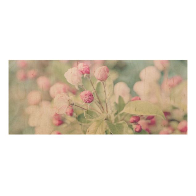 Holzbild Blumen Apfelblüte Bokeh rosa