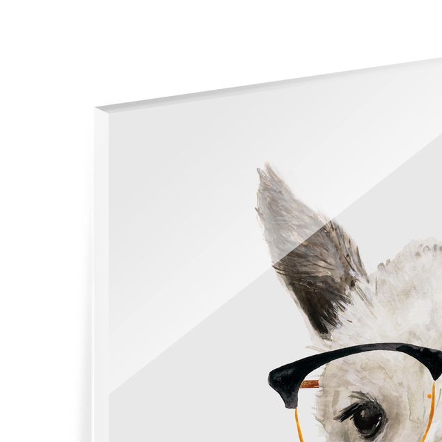 Glas Spritzschutz - Hippes Lama mit Brille I - Quadrat - 1:1