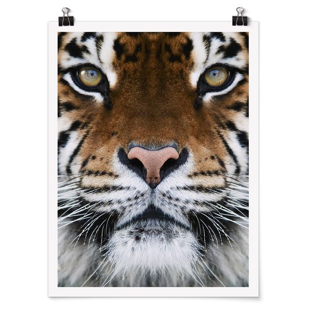 Wandbilder Modern Tiger Eyes