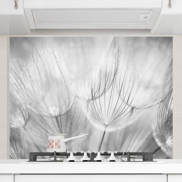 Küchen Deko Pusteblumen Makroaufnahme in schwarz weiß