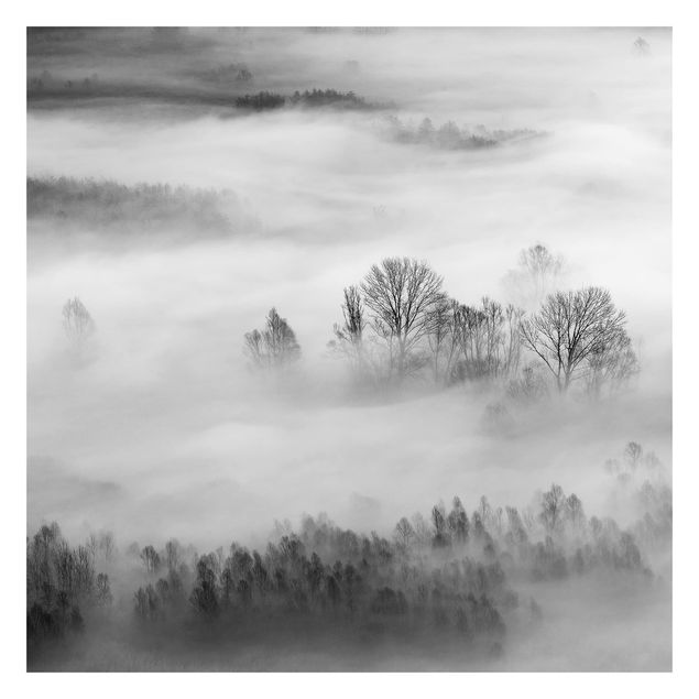 Fototapete - Nebel bei Sonnenaufgang Schwarz Weiß - Fototapete