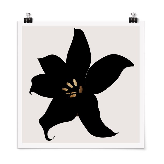 Poster schwarz-weiß Fotografie Grafische Pflanzenwelt - Orchidee Schwarz und Gold