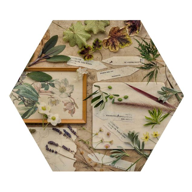 Hexagon Bild Holz - Blumen und Gartenkräuter Vintage