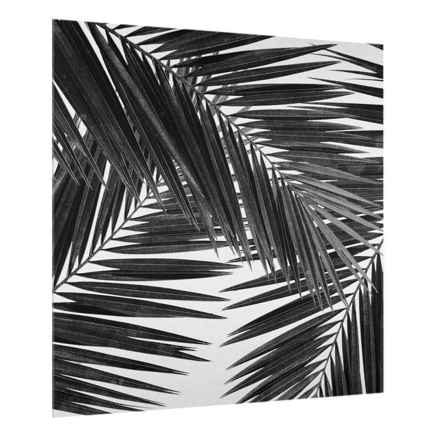 Glasrückwand Küche Blick durch Palmenblätter schwarz weiß