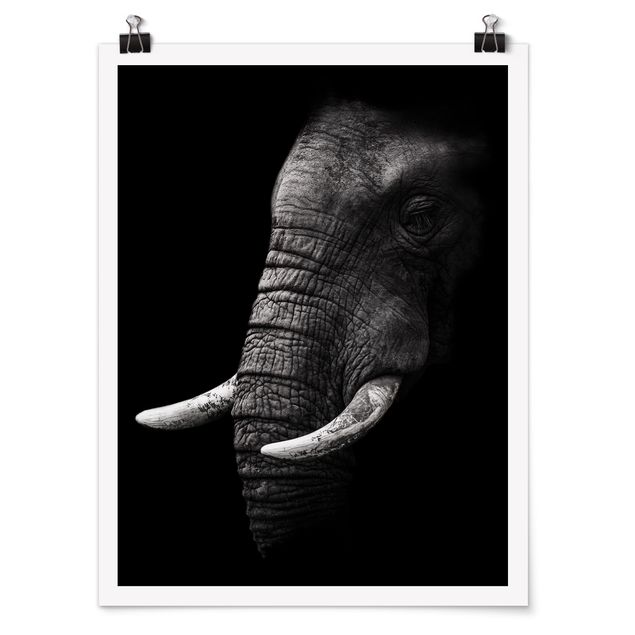 Poster schwarz-weiß Dunkles Elefanten Portrait