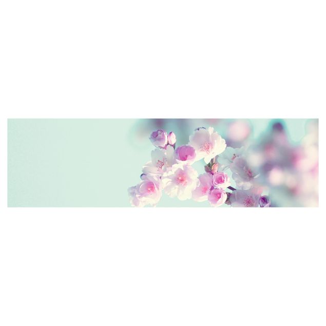 Küchenrückwand - Farbenfrohe Kirschblüten