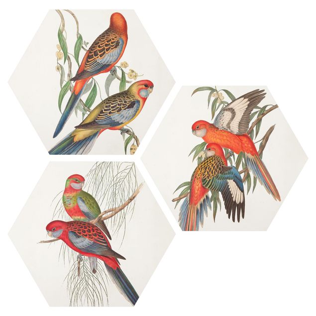 Wandbilder Retro Tropische Papageien Set I