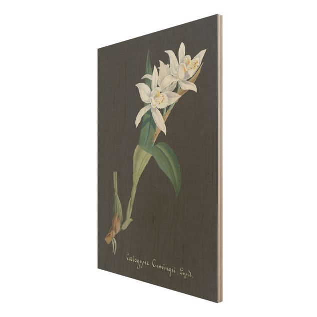 Holzbilder Vintage Weiße Orchidee auf Leinen II