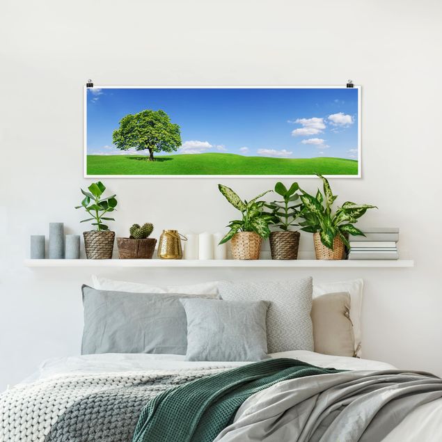 Wandbilder Bäume Panoramic