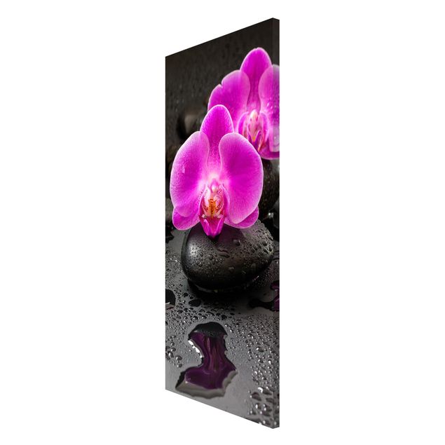 Magnettafel Blume Pinke Orchideenblüten auf Steinen mit Tropfen