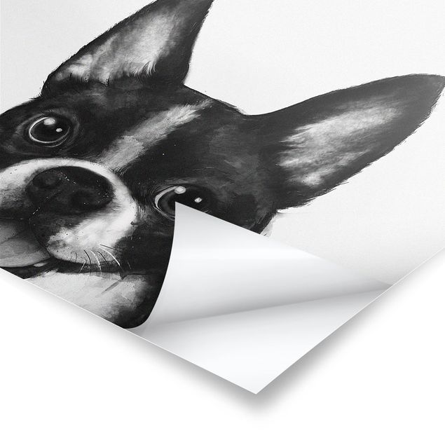 Laura Graves Art Illustration Hund Boston Schwarz Weiß Malerei