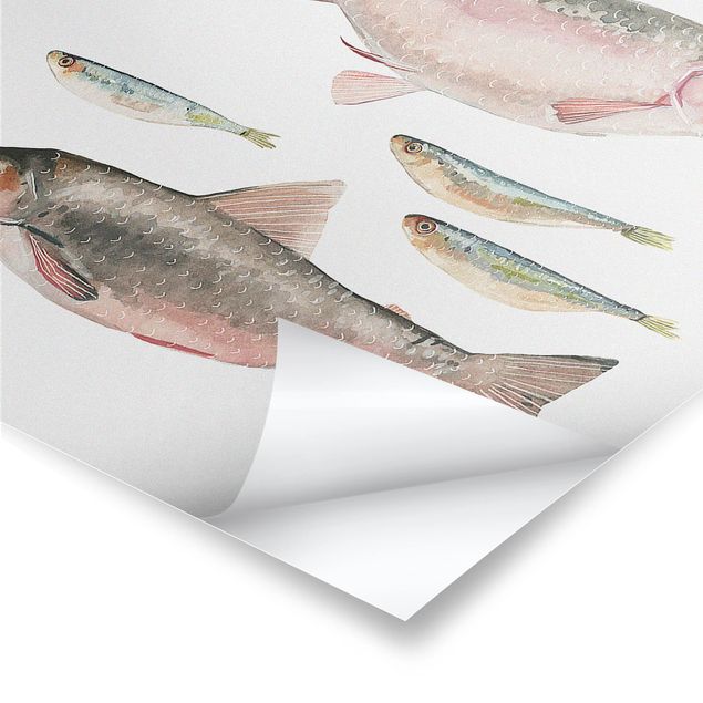 Poster kaufen Sieben Fische in Aquarell I