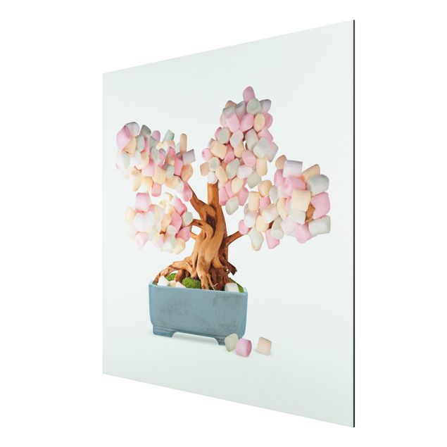 Wandbilder Blumen Bonsai mit Marshmallows