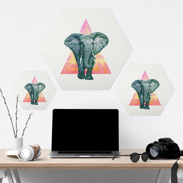 Hexagon Bilder Illustration Elefant vor Dreieck Malerei