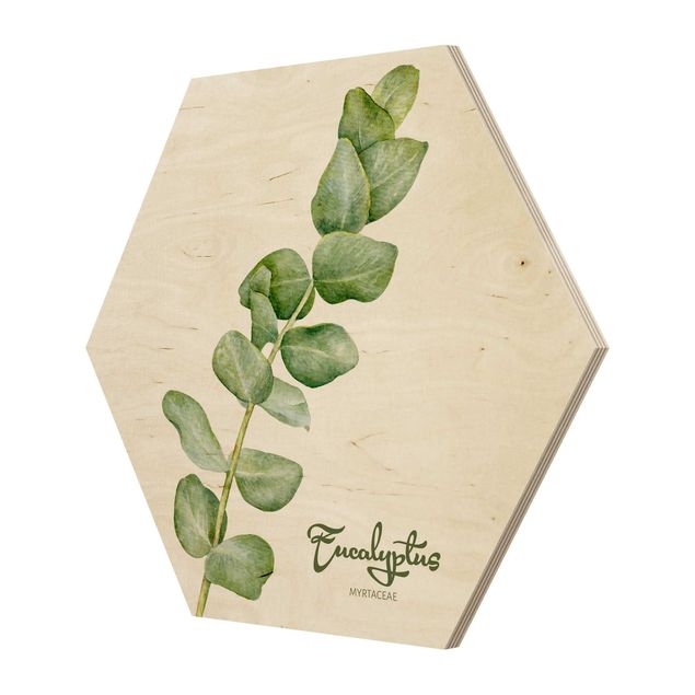 Hexagon Bild Holz - Aquarell Botanik Eukalyptus