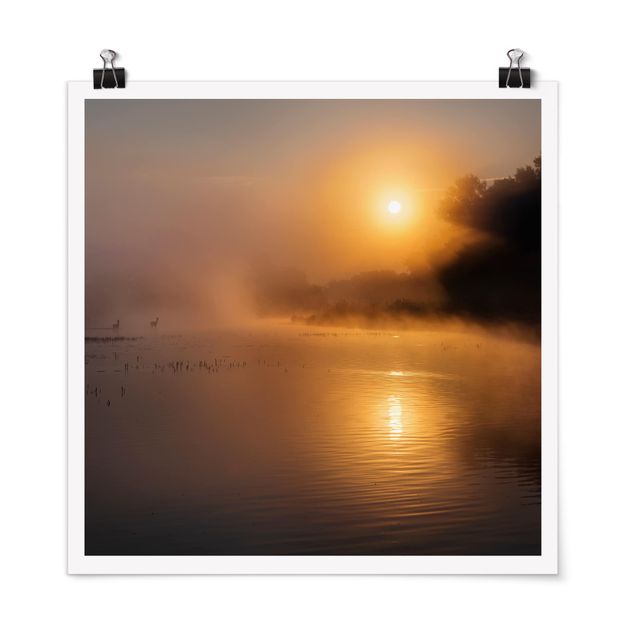 Poster Naturbilder Sonnenaufgang am See mit Rehen im Nebel