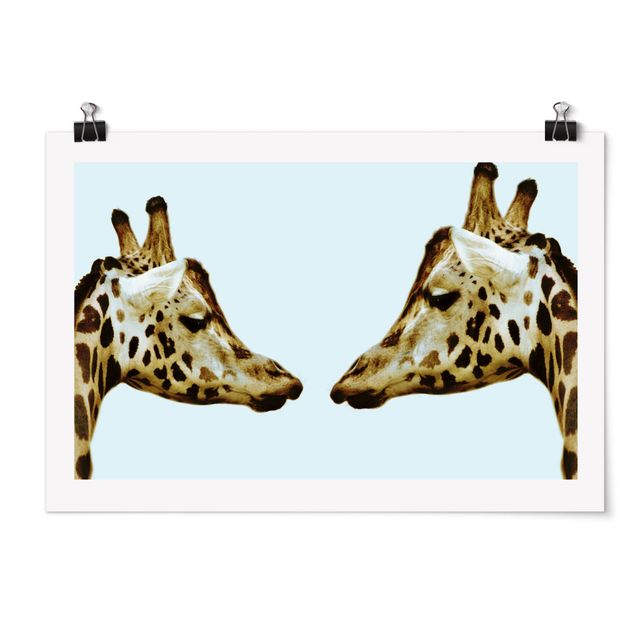 Wandbilder Afrika Giraffes in Love