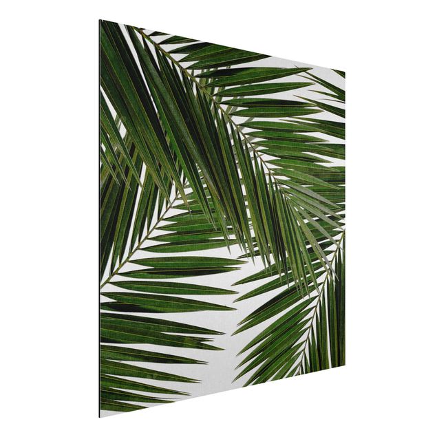 Wanddeko Küche Blick durch grüne Palmenblätter