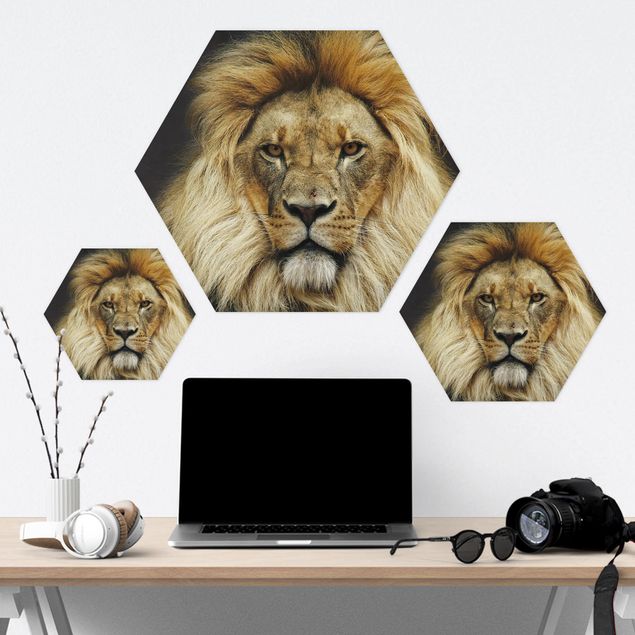 Hexagon Bild Forex - Wisdom of Lion