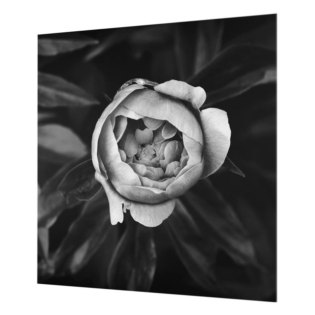 Glas Spritzschutz - Pfingstrosenblüte vor Blättern Schwarz Weiß - Quadrat - 1:1