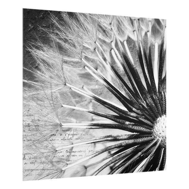Glasrückwand Küche Pusteblume Schwarz & Weiß