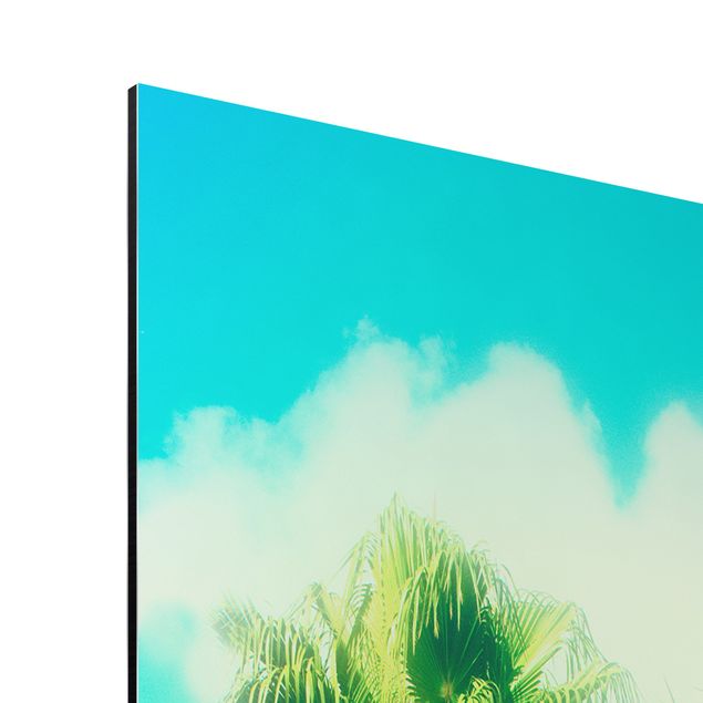 Wandbilder Kunstdrucke Palmen vor Himmel Blau