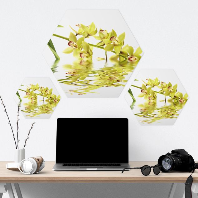 Hexagon Bild Forex - Elegant Orchid Waters