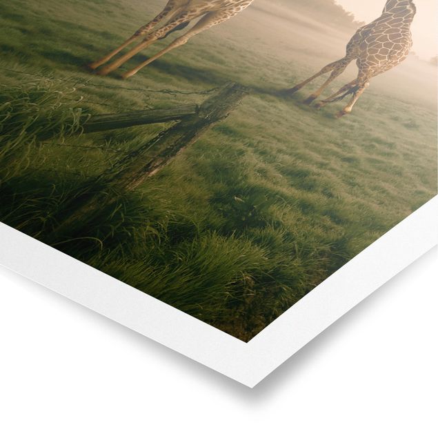 Poster Tiere Surreal Giraffes
