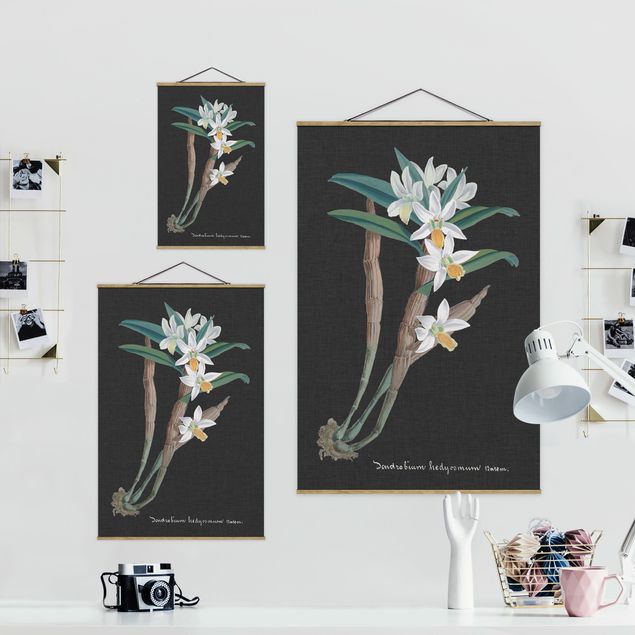 Wandbilder Schwarz Weiße Orchidee auf Leinen I