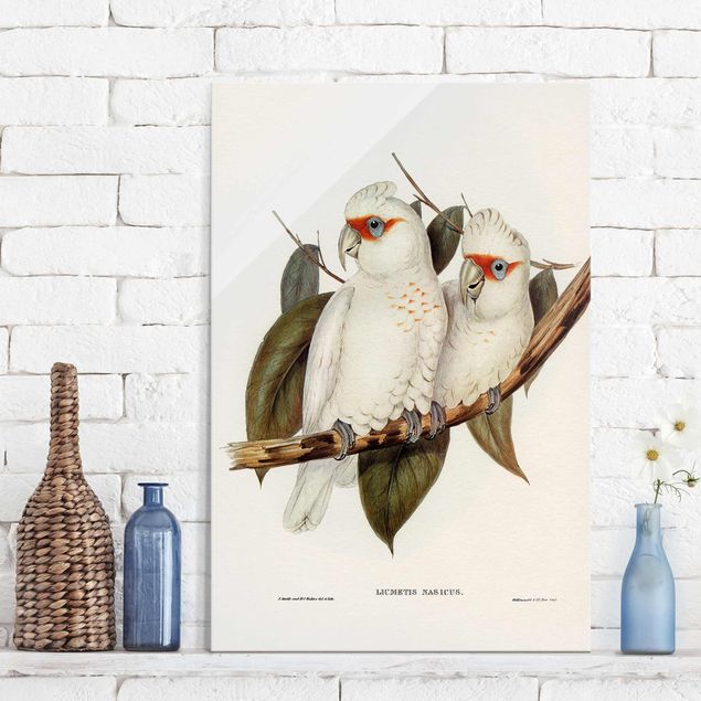 Wanddeko Küche Vintage Illustration Weißer Kakadu