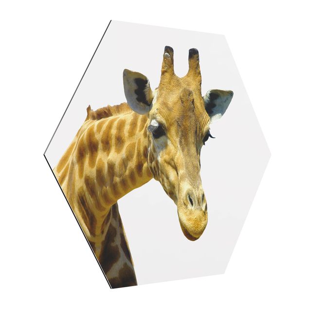 Wandbilder Tiere No.21 Neugierige Giraffe