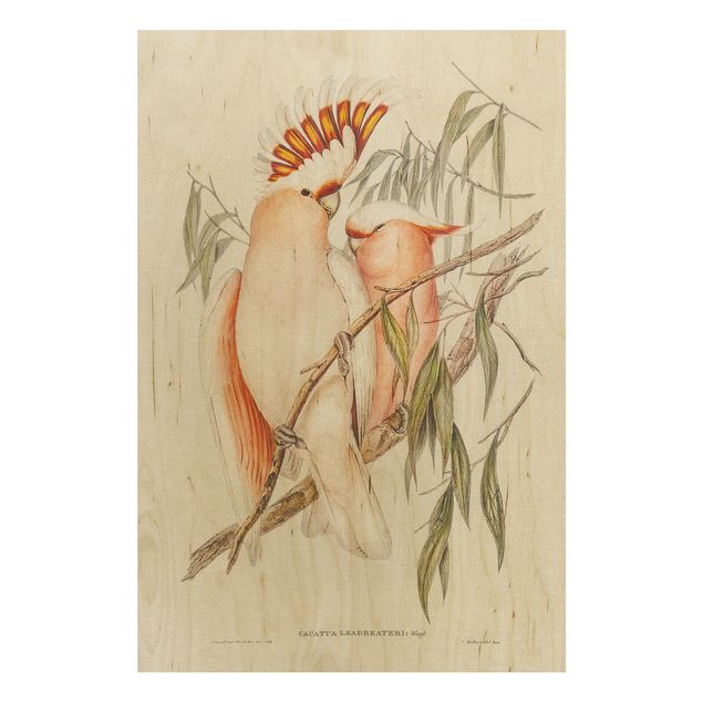 Holzbilder Blumen Vintage Illustration Rosa Kakadu
