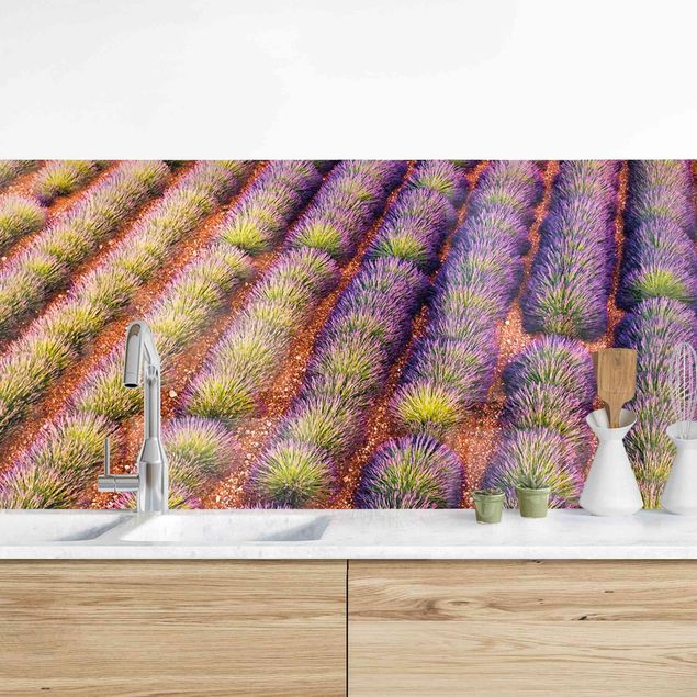 Wanddeko Küche Malerisches Lavendelfeld