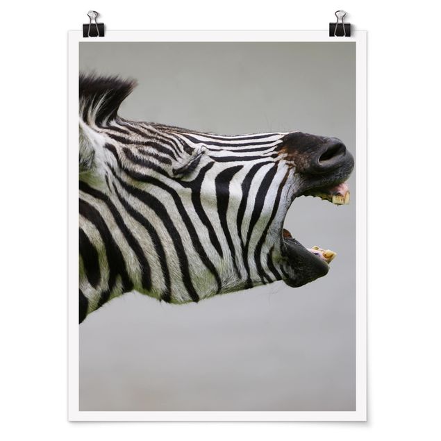 Wandbilder Afrika Brüllendes Zebra