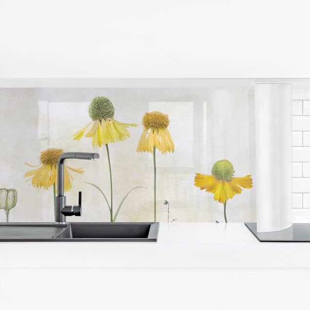 Küchenrückwand Folie Zarte Helenium Blüten