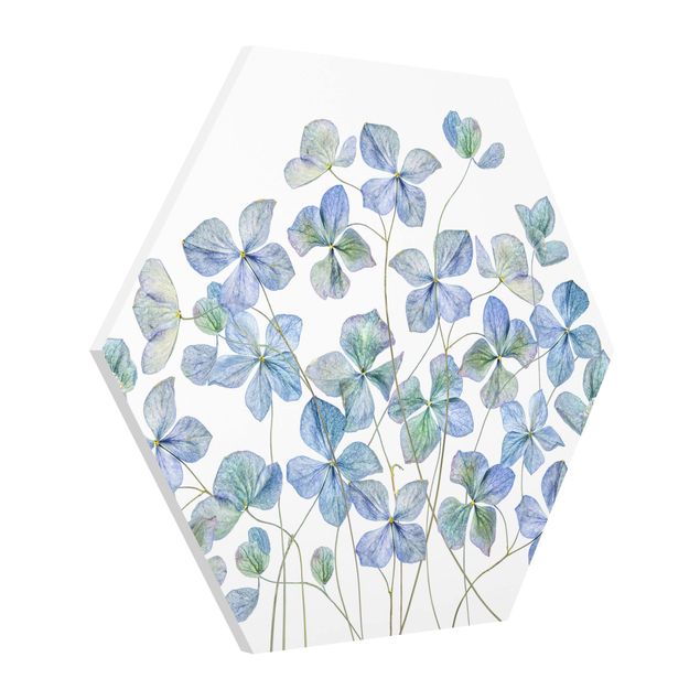 Wandbilder Modern Blaue Hortensienblüten