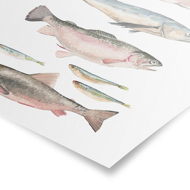 Tierposter Sieben Fische in Aquarell I