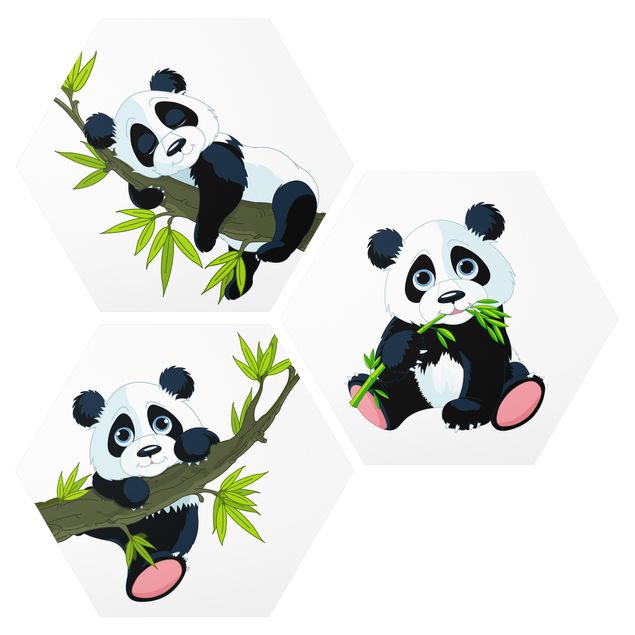 Wandbilder Bäume Pandabären Set