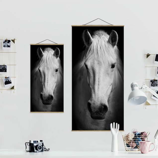 Wandbilder Dream of a Horse