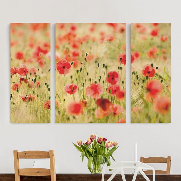 Wandbilder Mohnblumen Summer Poppies