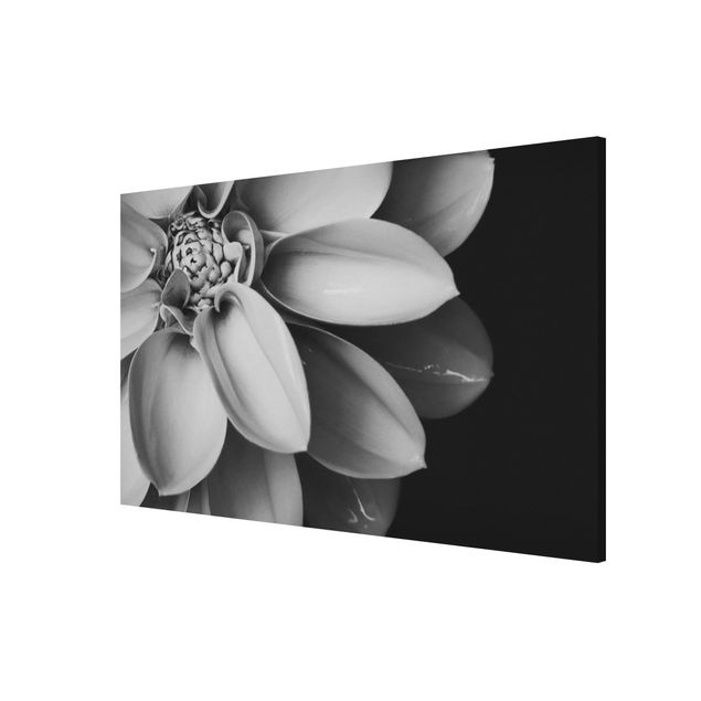 Wandbilder Floral Im Herzen einer Dahlie Schwarz-Weiß