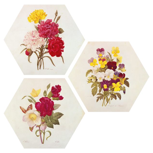 Wandbilder Blumen Pierre Joseph Redouté - Rosen Nelken Stiefmütterchen