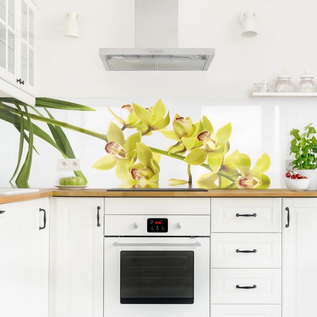 Glasrückwand Küche Elegant Orchid Waters