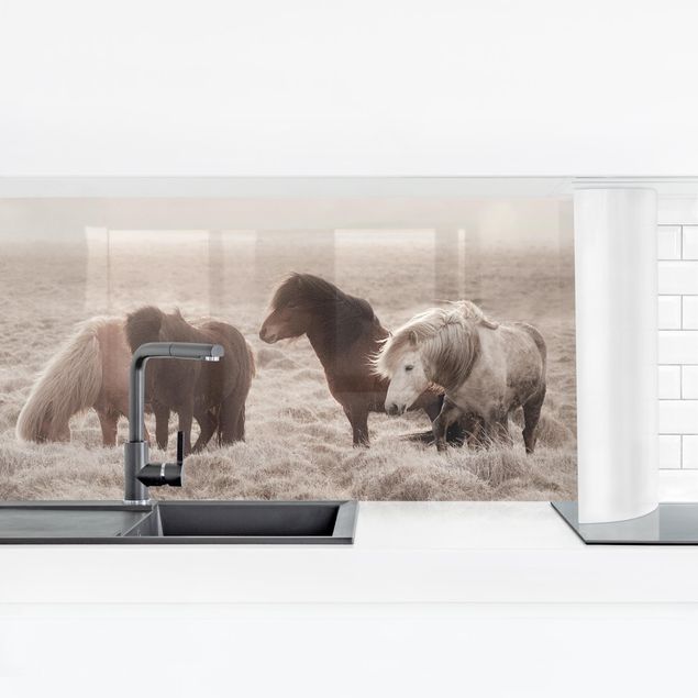 Küchenrückwand selbstklebend Island Wildpferde