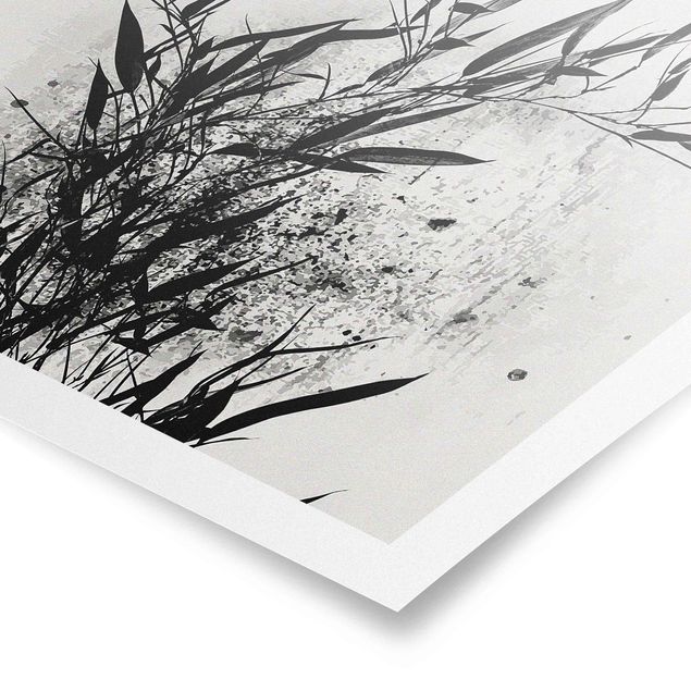 Poster schwarz-weiß Fotografie Grafische Pflanzenwelt - Schwarzer Bambus