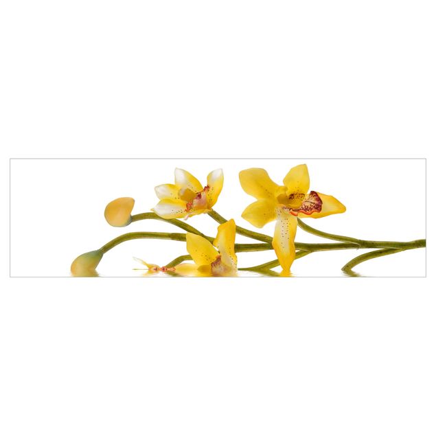 Küchenrückwand - Saffron Orchid Waters