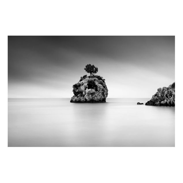Wandbilder Landschaften Felseninsel im Meer Schwarz-Weiß